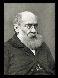 Anthony Trollope (1815-82) by Unbekannt Unbekannt